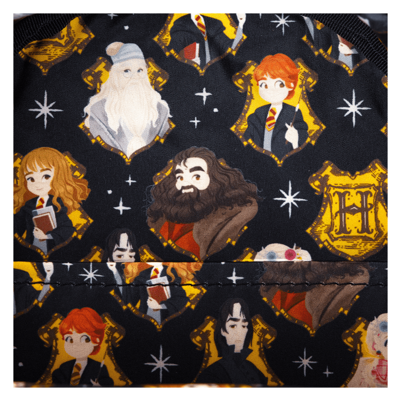 HPTB0241-LFHARRYPOTTERSPRINGCONVERTIBLETOTE-1133-3.png